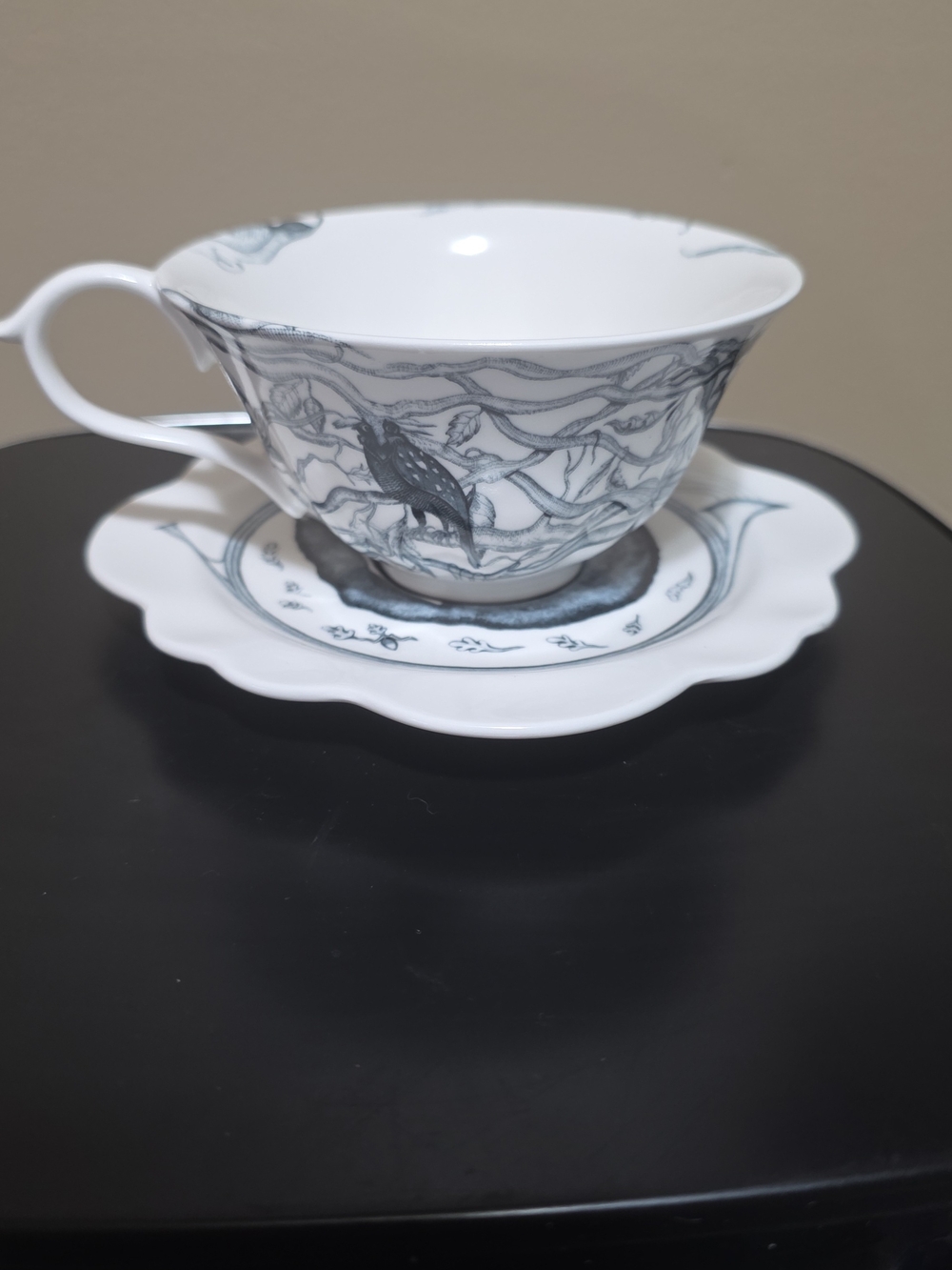 Anthropologie Florence Balducci Wild Masquerade Teacup & Saucer Set Black White